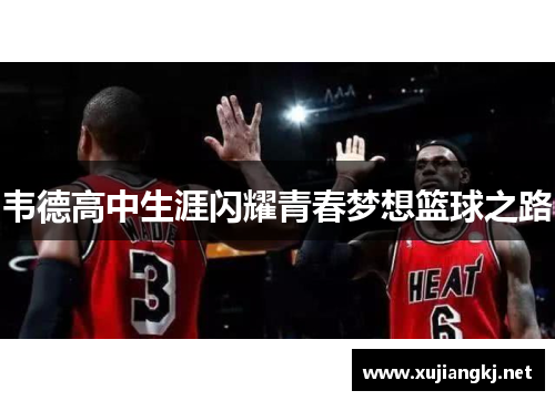 韦德高中生涯闪耀青春梦想篮球之路